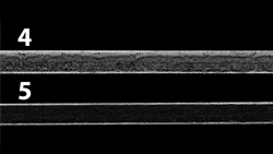 Hrana Tu-Bond